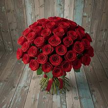 Букет 55 Красных роз Фридом #REPLACE_PRED# Лыткарино
