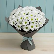 Букет цветов из:  Хризантемы в Лыткарино