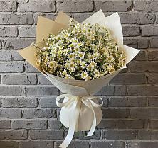 Букет цветов из:  Ромашки #REPLACE_PRED# Лыткарино