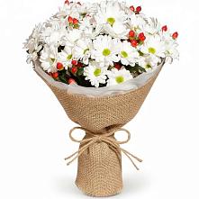 Букет цветов из:  Хризантемы #REPLACE_PRED# Лыткарино