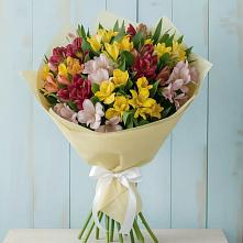 Букет цветов из:  Альстромерии в Лыткарино