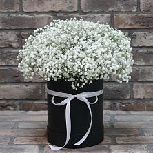 Цветочная композиция из Гипсофила в шляпной коробке в Лыткарино